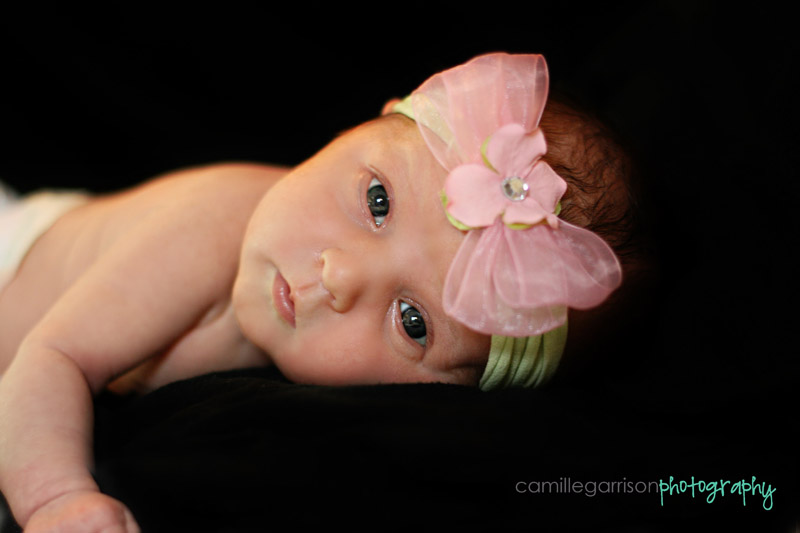 Utah California Newborn Baby Photographer