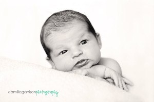 California Utah Newborn Photographer