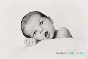 California Utah Newborn Photographer