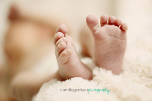 Utah Newborn Family Photographer