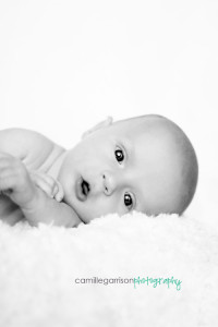Utah Newborn Family Photographer