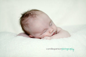 Utah Newborn Photographer